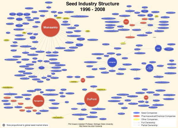 seed industry structure