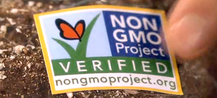 90 percent of citizens in Vermont support mandatory labeling for genetically engineered foods. (photo: Friends Eat)