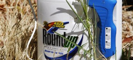 Roundup has long been a draw for critics, who say the herbicide promotes widespread weed resistance, or 'super weeds.' (photo: Paul Sakuma/AP) 