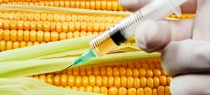 Gucciardi: 'The Kaiser Permanente company discussed the numerous dangers of GMOs.' (photo: unknown)