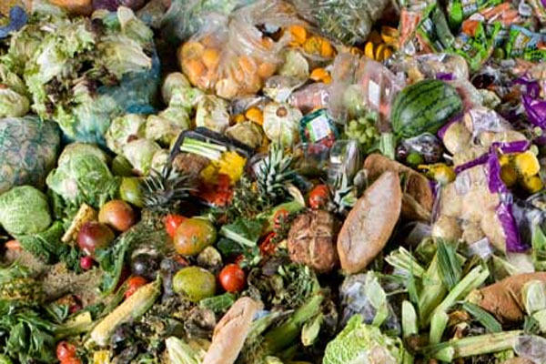 Almost half of the world's food thrown away, report finds