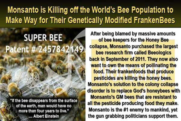 Monsanto Genetically Engineering Bees